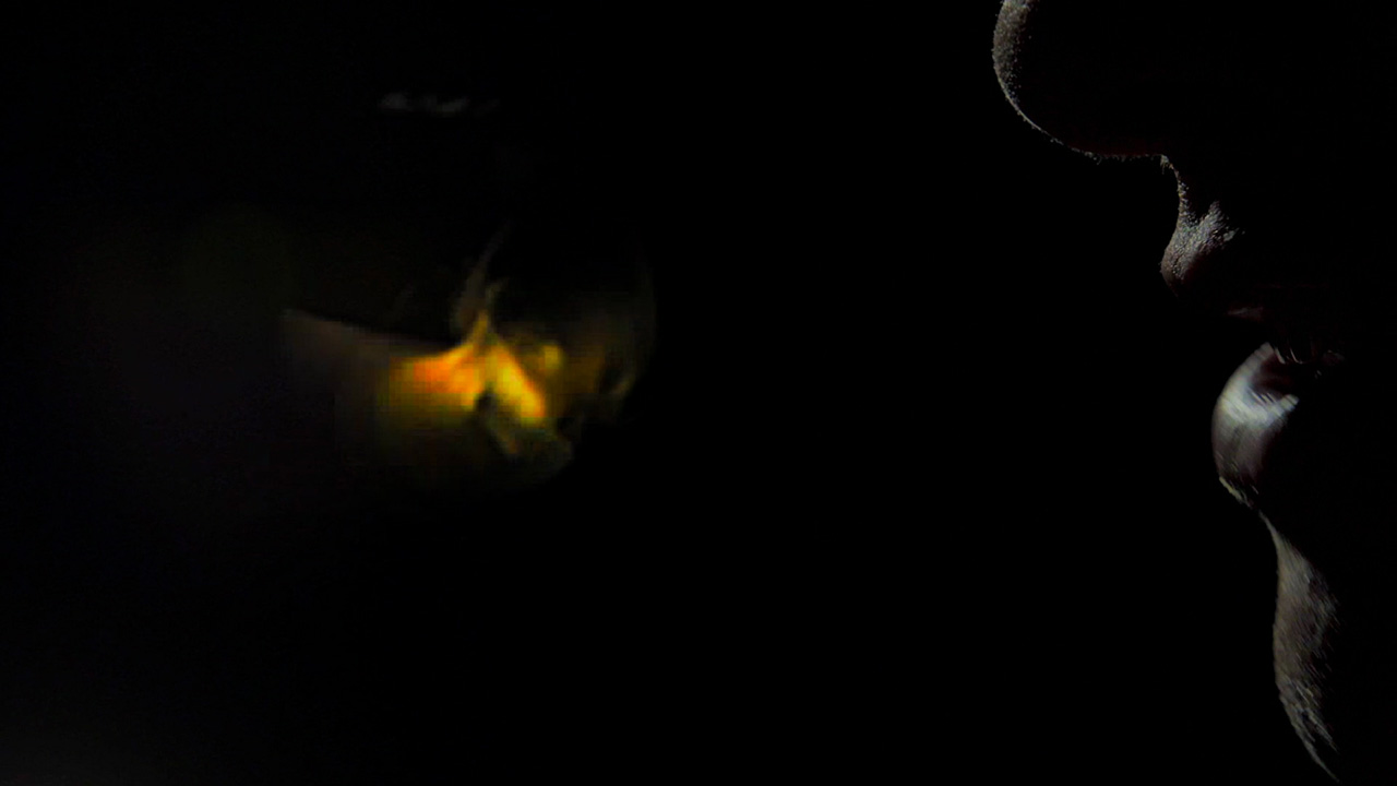 moth exploding 1.jpg moth exploding 1.jpg