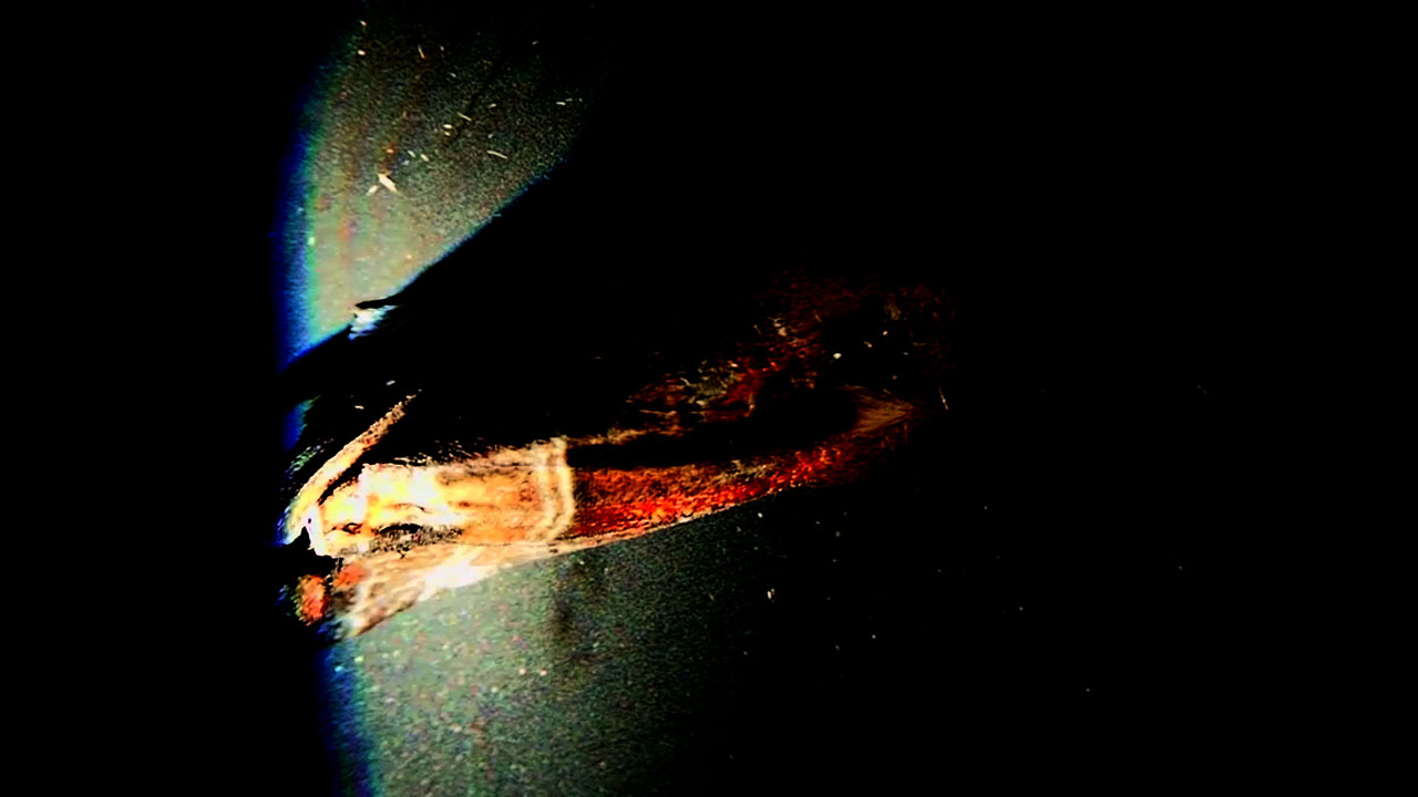 moth exploding 2.jpg moth exploding 2.jpg